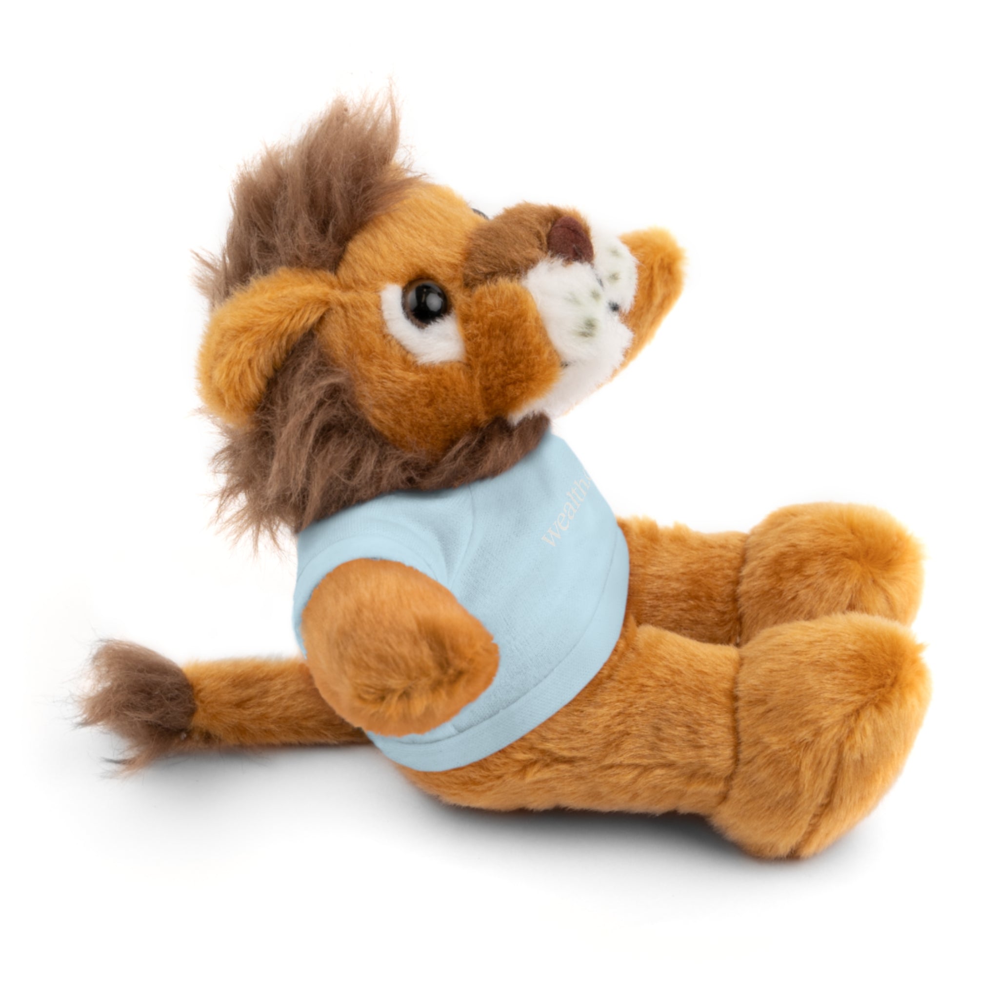 Stuffed Animal Tee Buddy