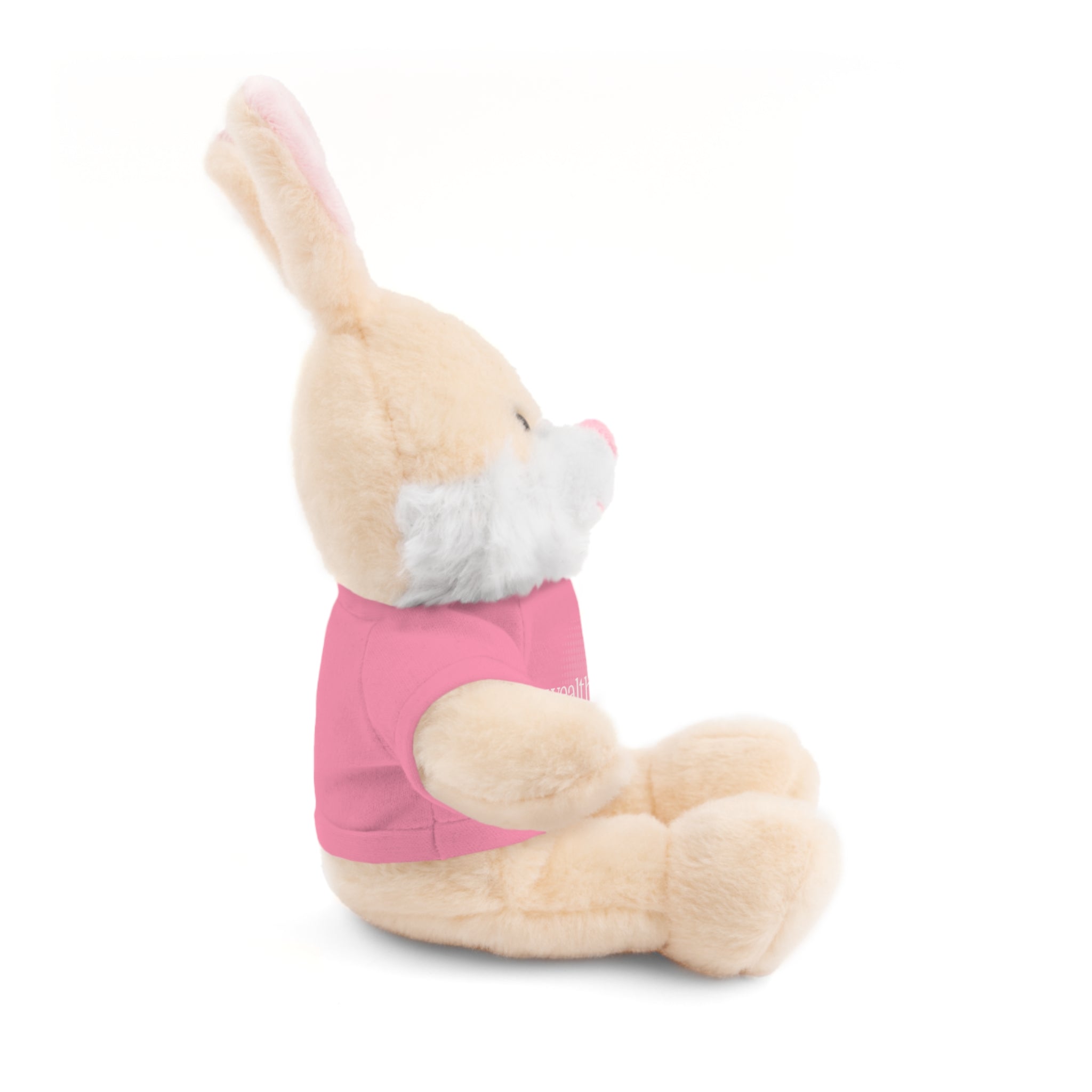 Stuffed Animal Tee Buddy