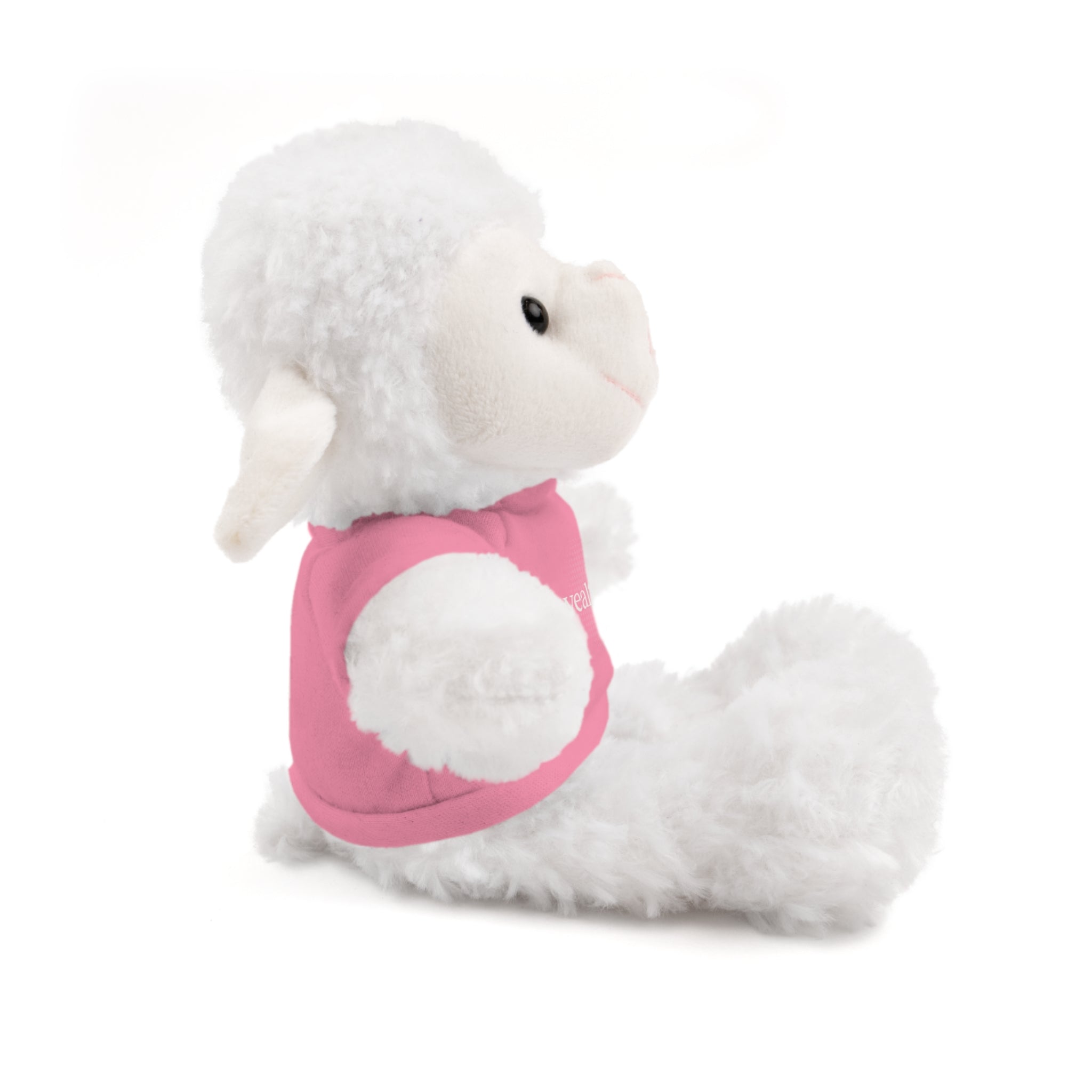 Stuffed Animal Tee Buddy