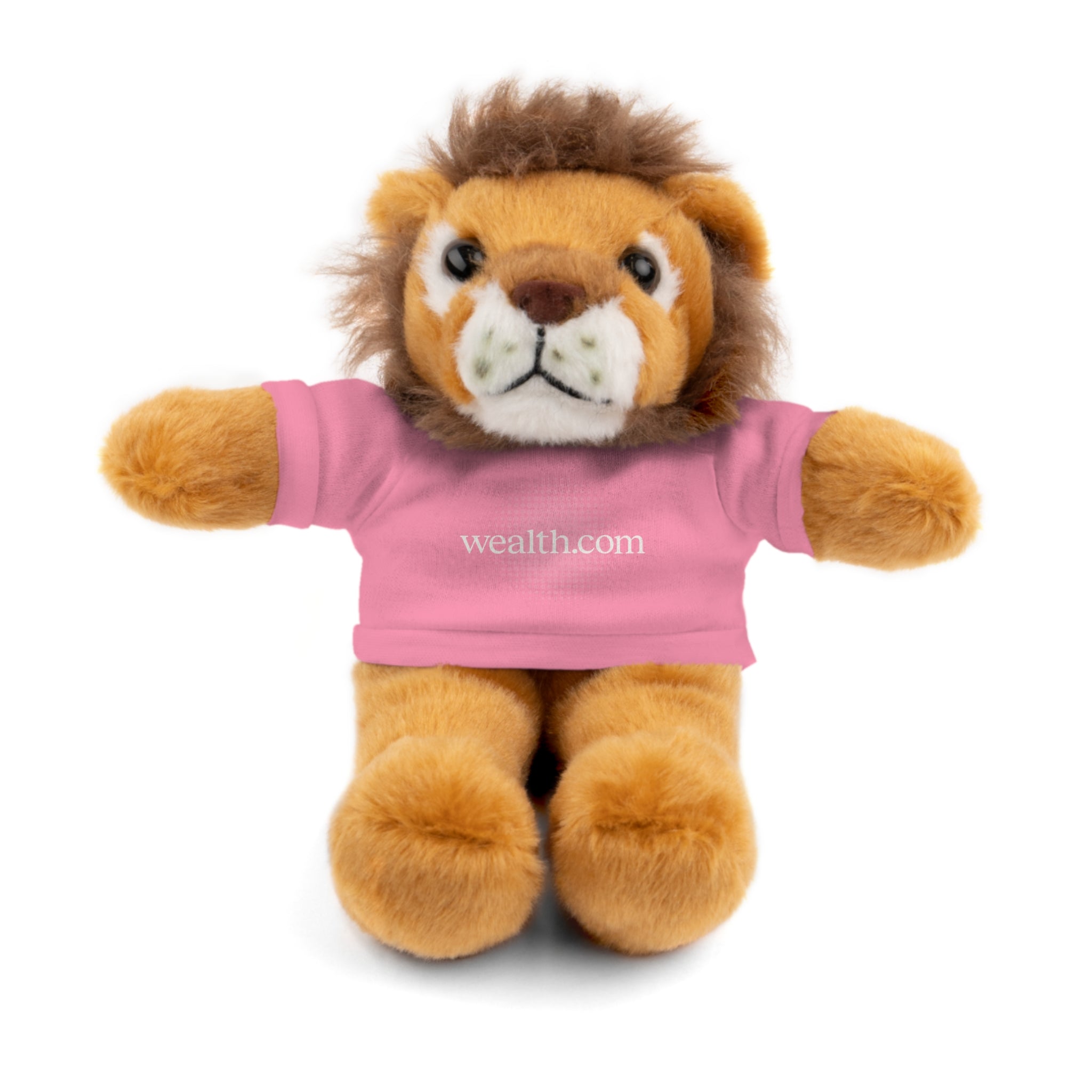 Stuffed Animal Tee Buddy