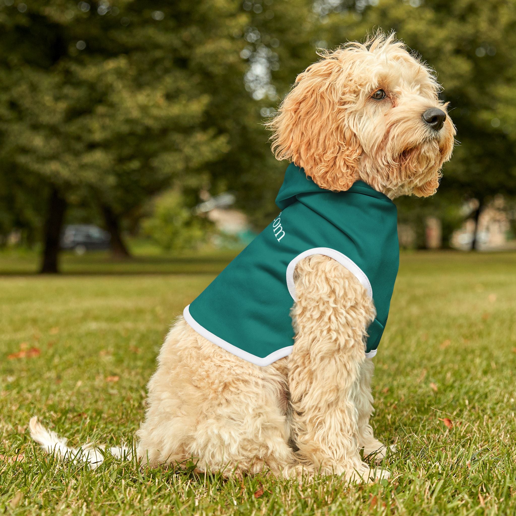 Pet Hoodie