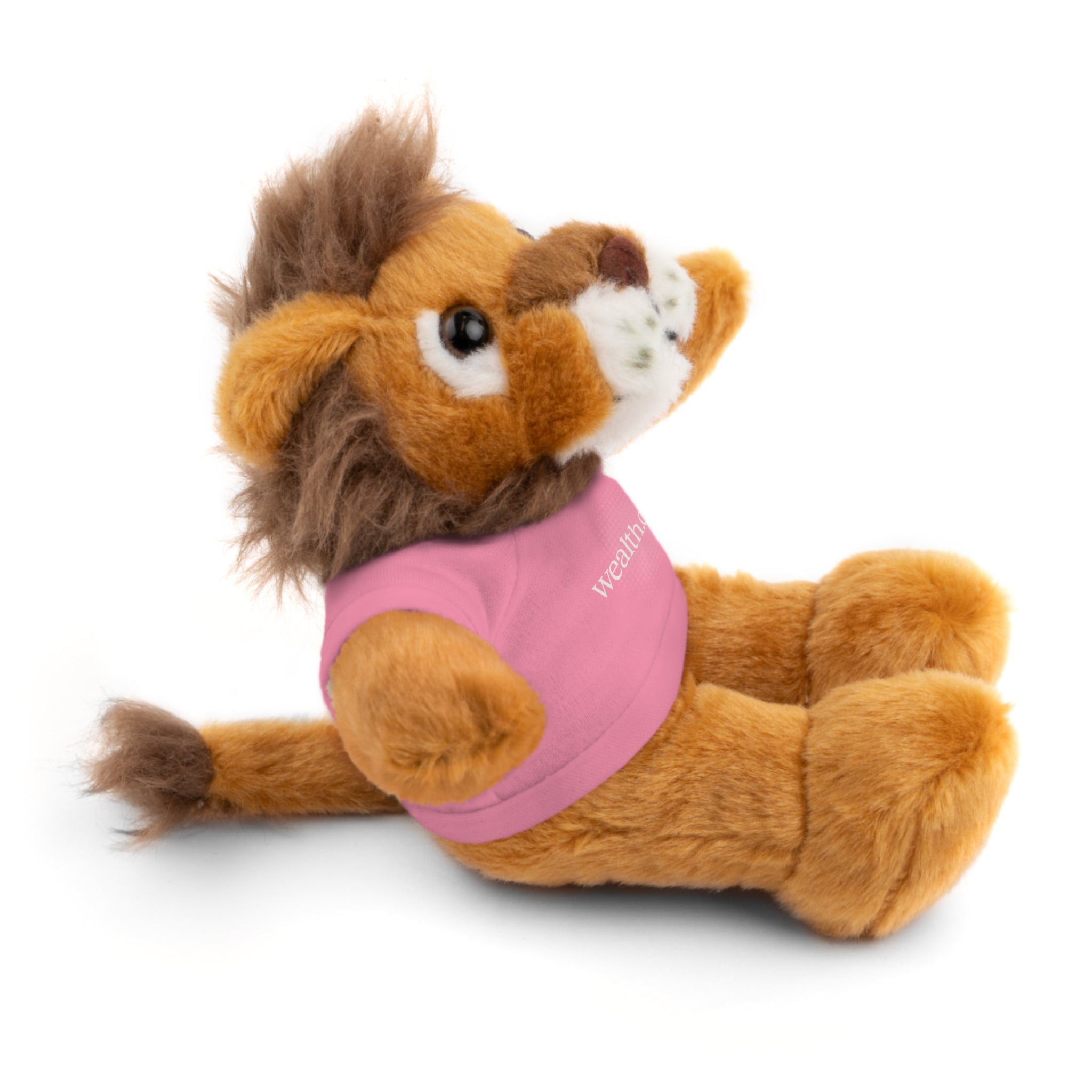Stuffed Animal Tee Buddy