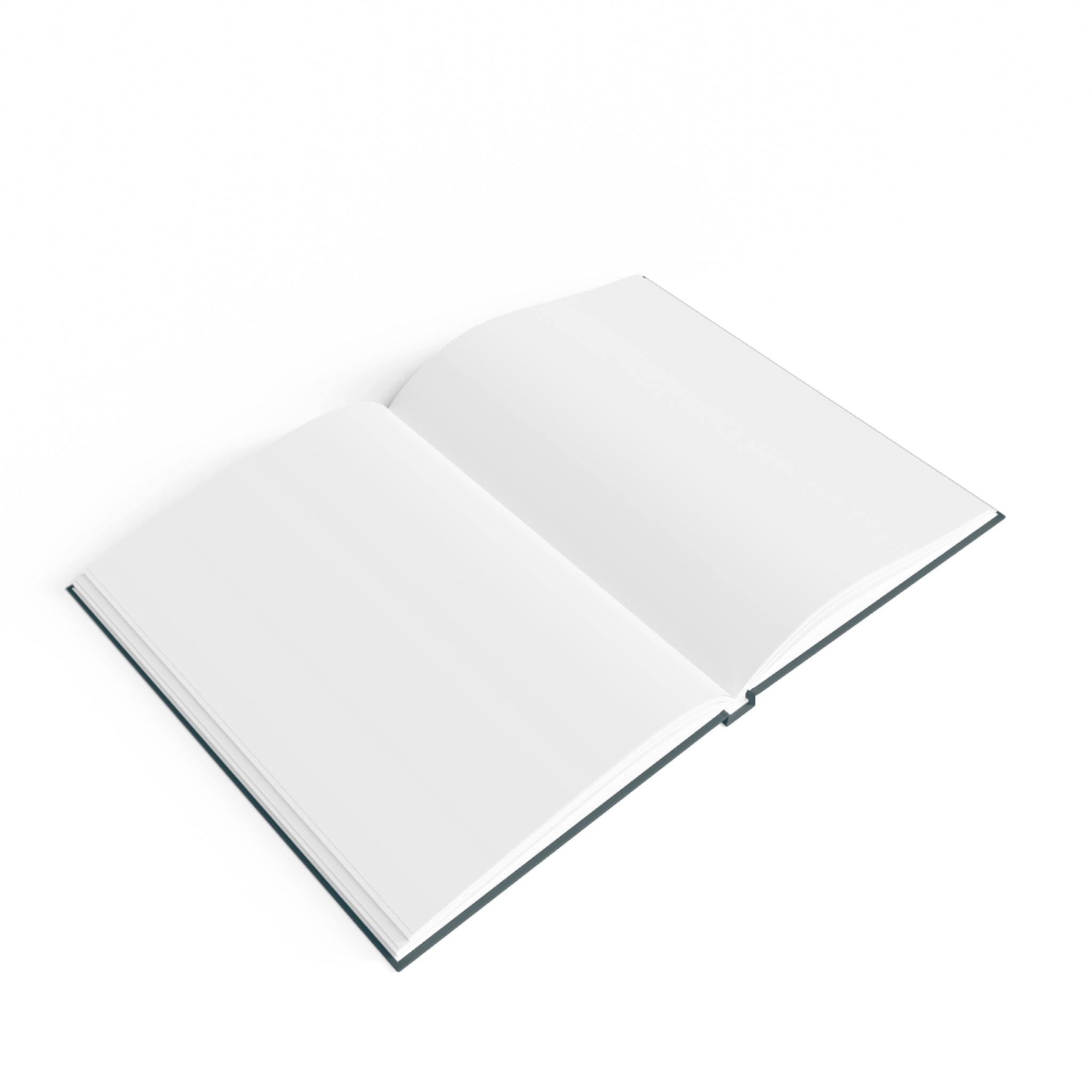 Wealth Journal